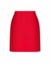 Skirt - photo 42683