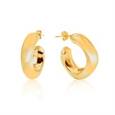 Earrings - photo 44130