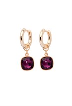 Earrings - photo 48105