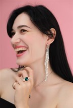 Earrings - photo 48122