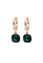 Earrings - photo 48125