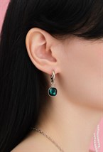 Earrings - photo 48328