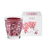 A candle ÉPINES - photo 52987