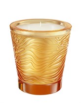 The Jungle Candle - photo 53000