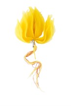 Brooch - photo 54102