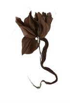 Brooch - photo 54106