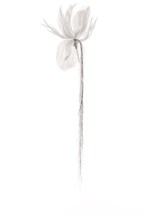 Brooch - photo 54126