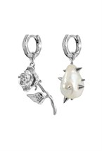 Earrings - photo 54524