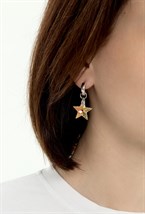 Earrings - photo 54541