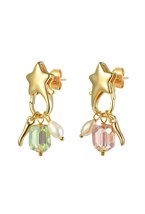 Earrings - photo 54544