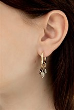 Earrings - photo 54557