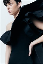 Black Swan Dress - photo 55607