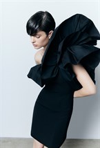 Black Swan Dress - photo 55609