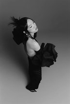 Swan Gloves - photo 55656