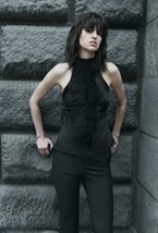 Top Swan - photo 55711