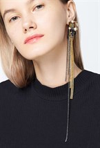 Monoclypse - photo 5749