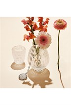 Anemones votive - photo 58048