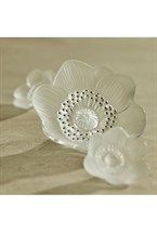 Anemone small sculpture - photo 58145
