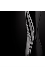 Visio Vase, Zaha Hadid & Lalique, 2014 - photo 58462