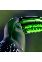 Toucan Sculpture - photo 58471