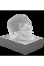 Eternal Sleep, Damien Hirst & Lalique, 2017 - photo 58533