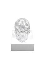 Eternal Sleep, Damien Hirst & Lalique, 2017 - photo 58537