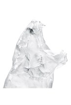Yawning Lioness, Rembrandt Bugatti by Lalique, 2014 - photo 58541