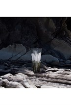 Basalte Vase - photo 58578