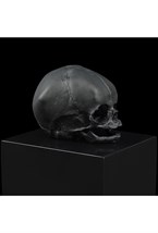 Eternal Memory, Damien Hirst & Lalique, 2017 - photo 58610