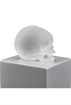 Eternal Memory, Damien Hirst & Lalique, 2017 - photo 58614