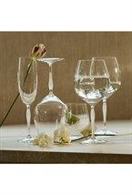 100 POINTS Champagne glass - photo 58652