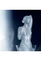 Aphrodite vintage decanter - photo 58663