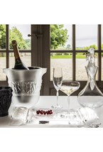 Bacchantes Champagne cooler - photo 58669