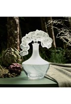 Orchidée decanter - photo 58674