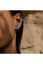 Terramineral Stud Earrings - photo 59159